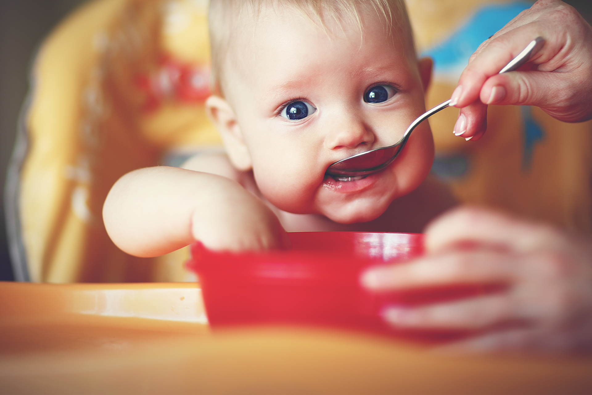 Svezzamento del bambino
